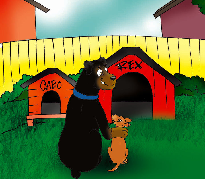 Childrens Books – Justice Rescue