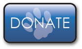 Donate Now to Help Abused and Neglected Animals